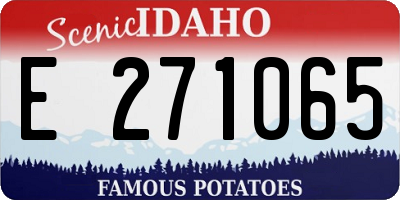 ID license plate E271065