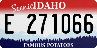ID license plate E271066