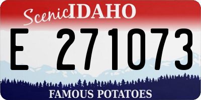 ID license plate E271073