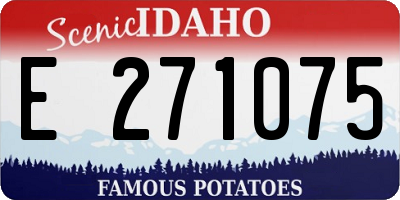 ID license plate E271075