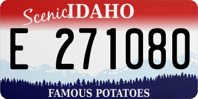 ID license plate E271080