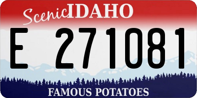 ID license plate E271081