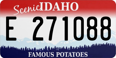 ID license plate E271088