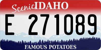 ID license plate E271089