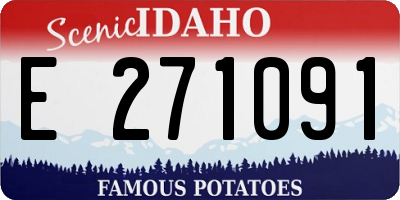 ID license plate E271091