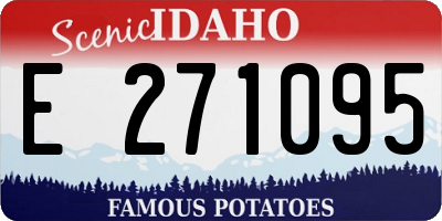 ID license plate E271095