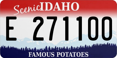 ID license plate E271100
