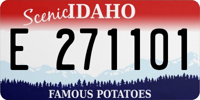 ID license plate E271101
