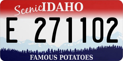 ID license plate E271102