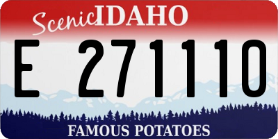 ID license plate E271110