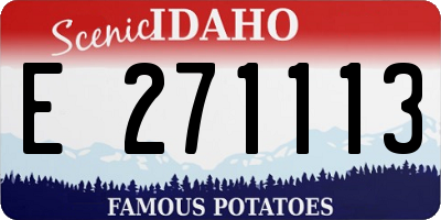 ID license plate E271113