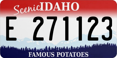 ID license plate E271123