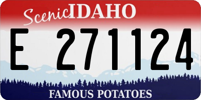 ID license plate E271124