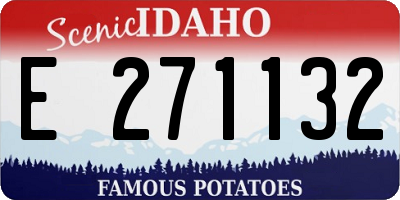 ID license plate E271132