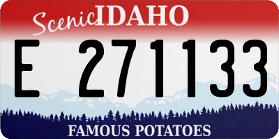 ID license plate E271133