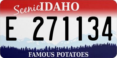 ID license plate E271134