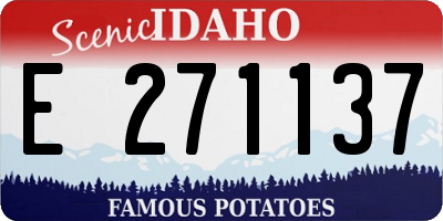 ID license plate E271137