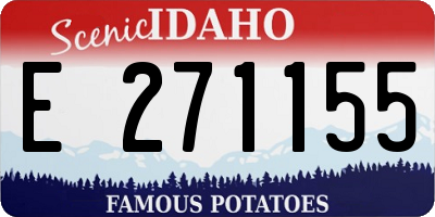 ID license plate E271155