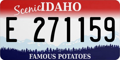 ID license plate E271159