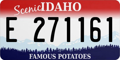 ID license plate E271161