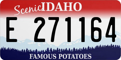 ID license plate E271164
