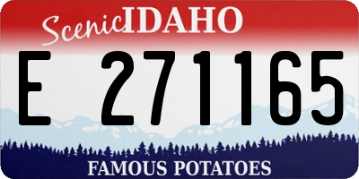 ID license plate E271165