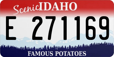ID license plate E271169