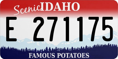 ID license plate E271175
