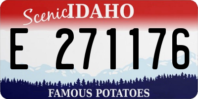 ID license plate E271176