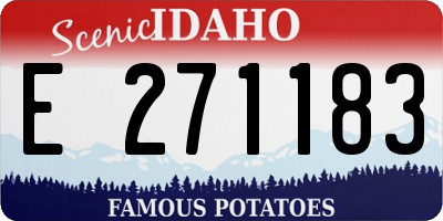 ID license plate E271183