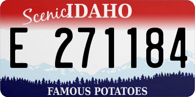 ID license plate E271184