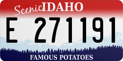 ID license plate E271191