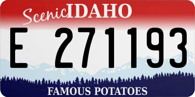 ID license plate E271193