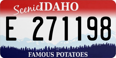 ID license plate E271198
