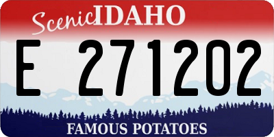 ID license plate E271202