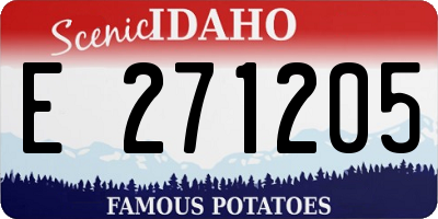 ID license plate E271205