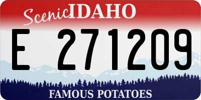 ID license plate E271209