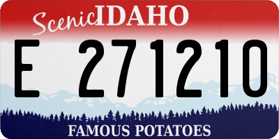 ID license plate E271210