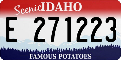ID license plate E271223