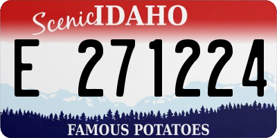 ID license plate E271224