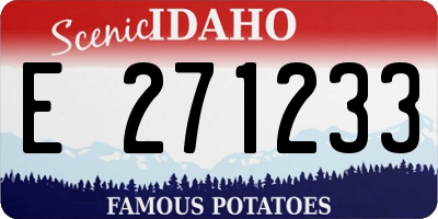 ID license plate E271233
