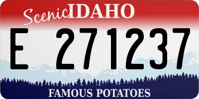 ID license plate E271237