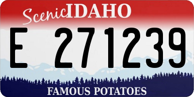 ID license plate E271239