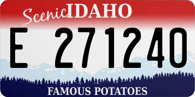 ID license plate E271240