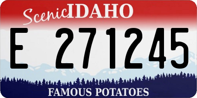 ID license plate E271245