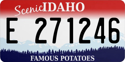 ID license plate E271246