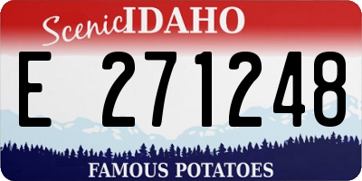 ID license plate E271248