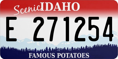 ID license plate E271254