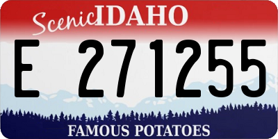 ID license plate E271255