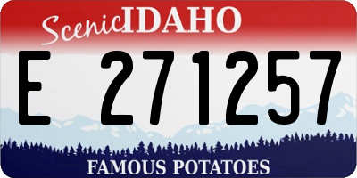 ID license plate E271257